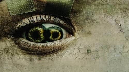 Never Blink