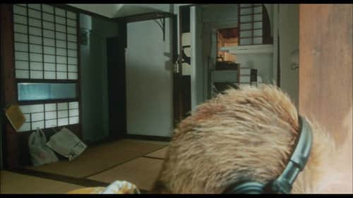 Dead or Alive 2: Birds