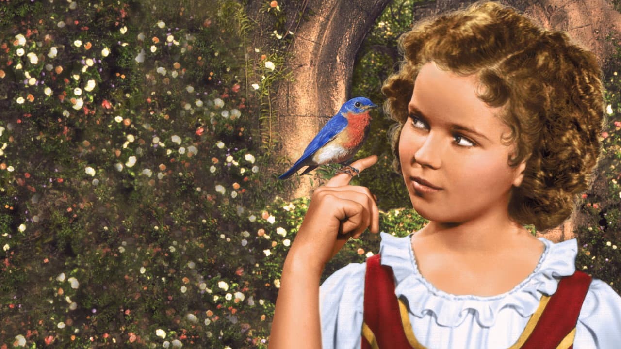 The Blue Bird