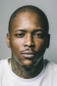 YG profile
