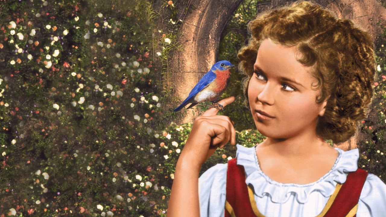 The Blue Bird