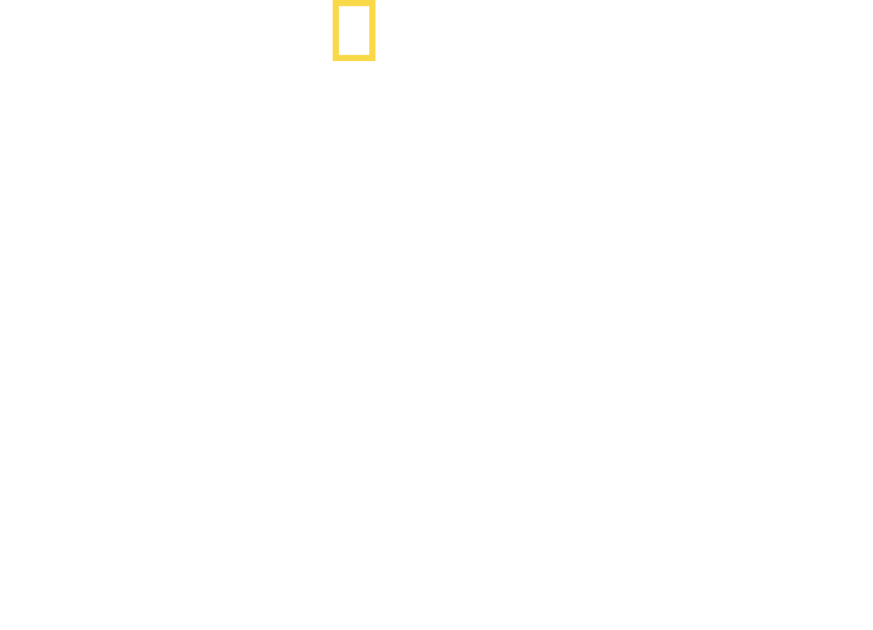 Orca Vs. Great White