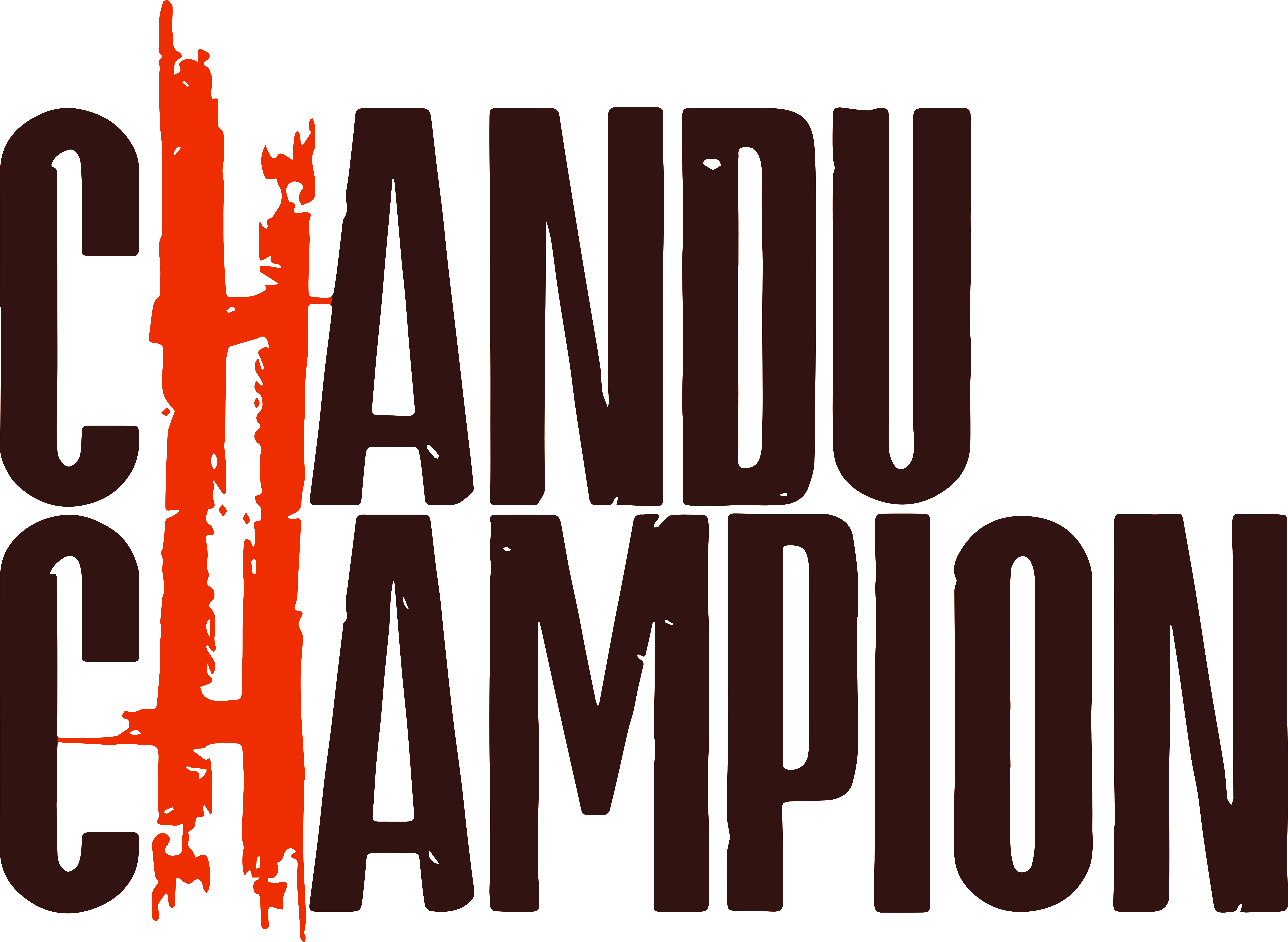 Chandu Champion