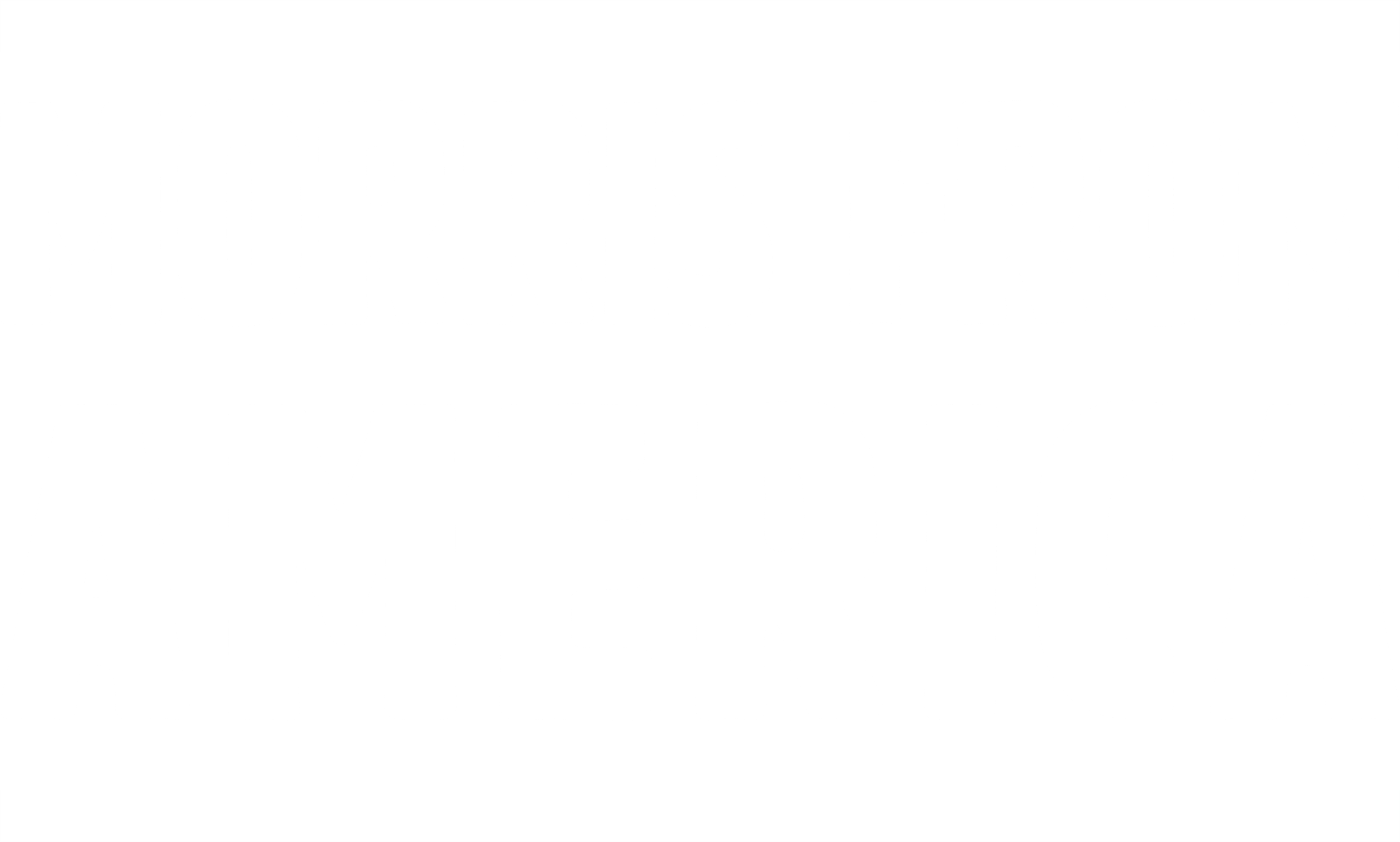 Morris from America