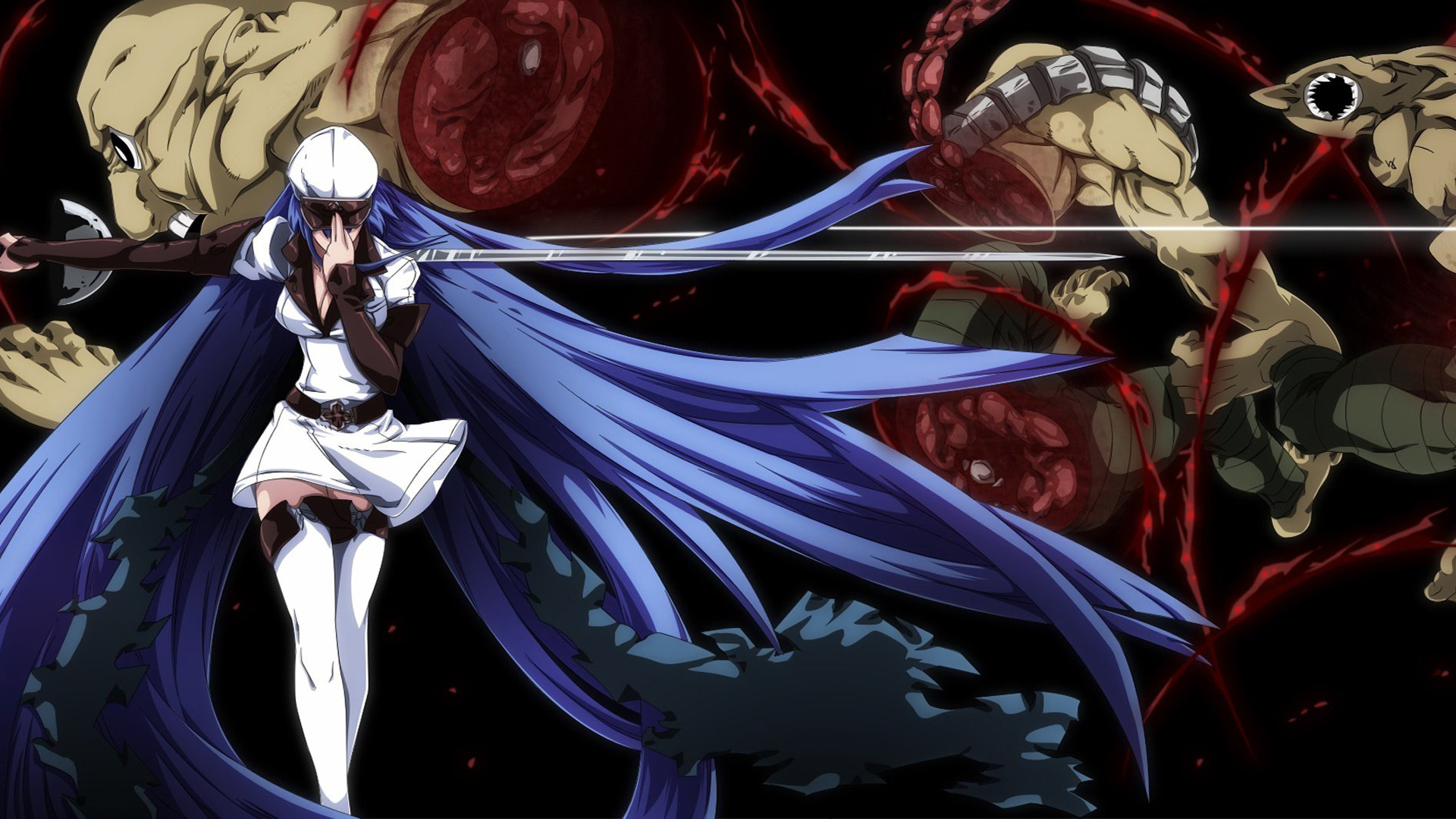 Akame ga Kill! (2014) wallpaper #8 — 1920×1080 Full HD backdrop — Young Tatsumi travels to the capital of the Empire in order to earn money for his… — free HD background for desktop, MacBook, mobile & iPhone (ref 5LbKHTTMWO2VepdPt4i4haPViww)