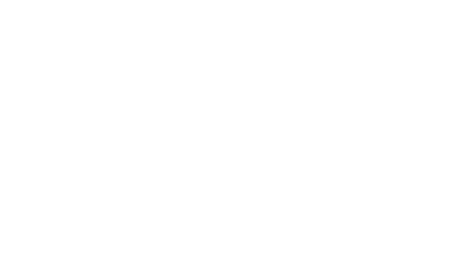 The Swindle