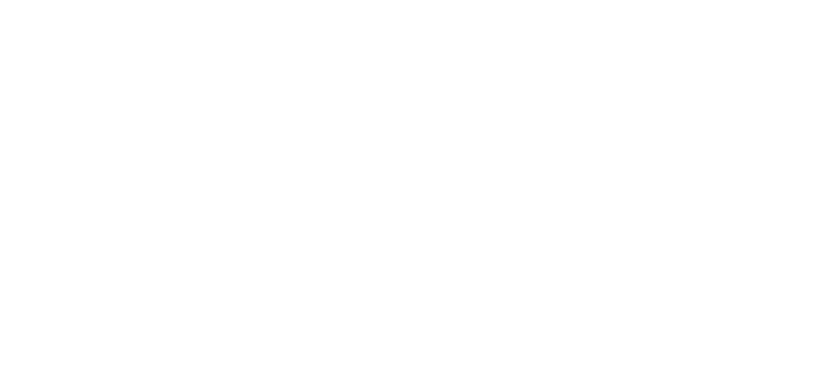 Houdini's Last Secrets
