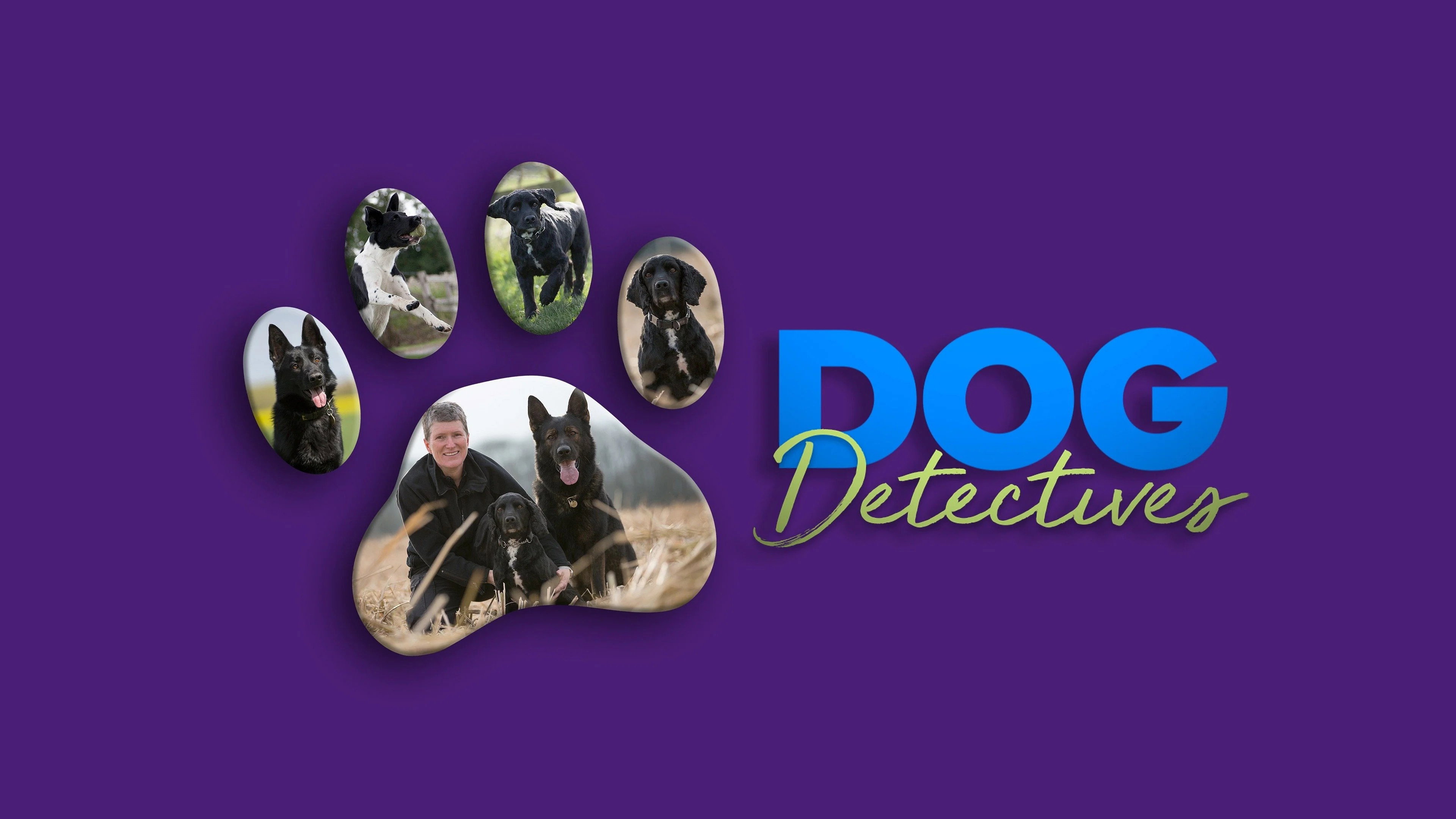 Dog Detectives wallpaper 4 — 4K cinematic backdrop