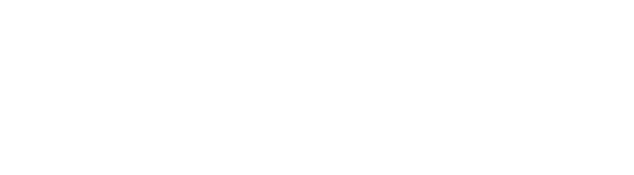 The Bronze