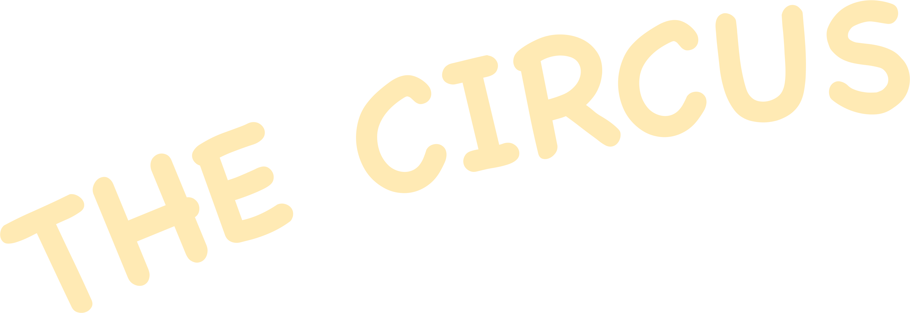 The Circus