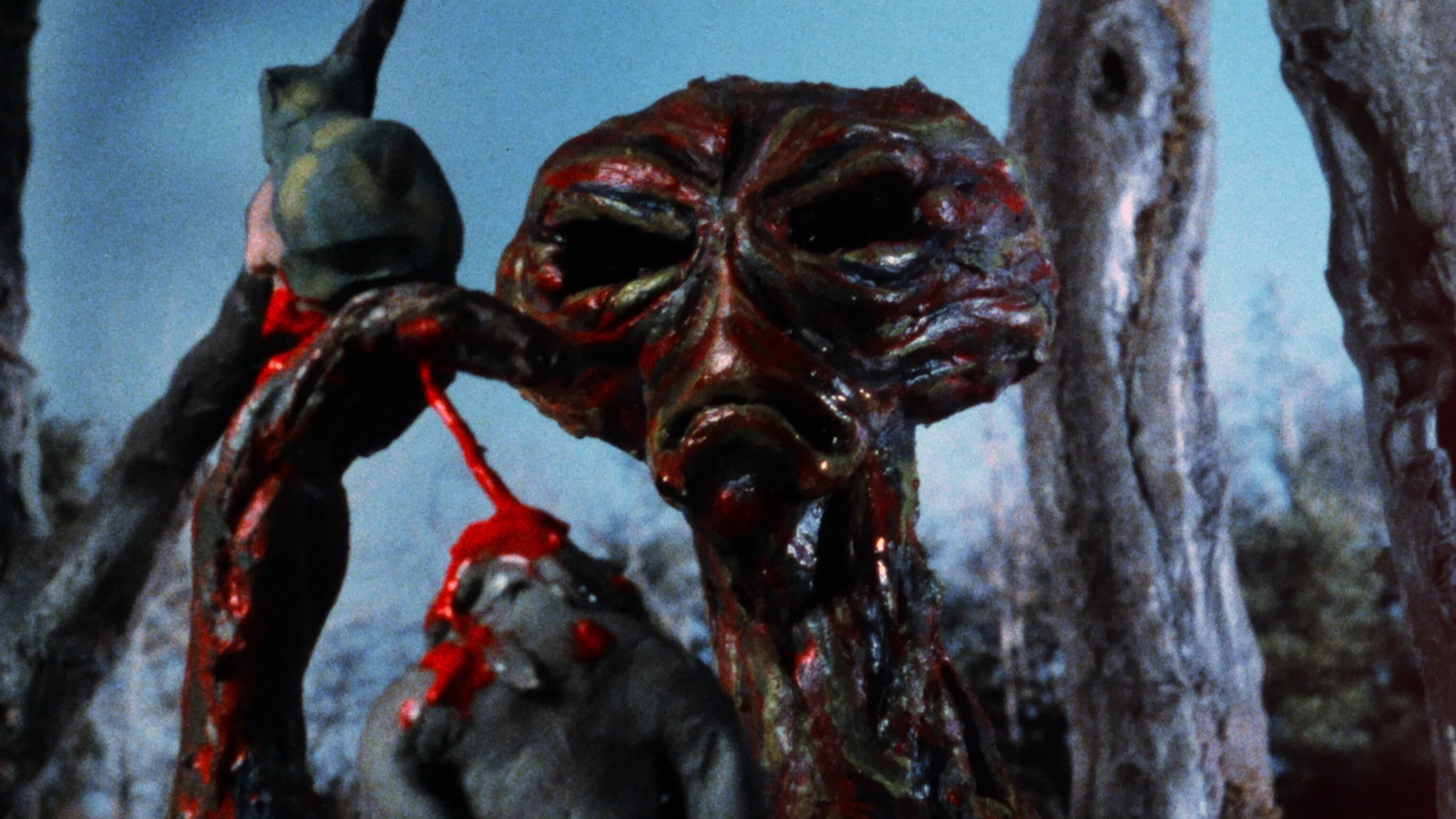 Winterbeast (1992) wallpaper #6 — 3072×1728 Full HD backdrop — People are being killed off near a popular New England mountain lodge, with a legend… — free HD background for desktop, MacBook, mobile & iPhone (ref exem9kAbr5US56QP7BXO2FAILem)