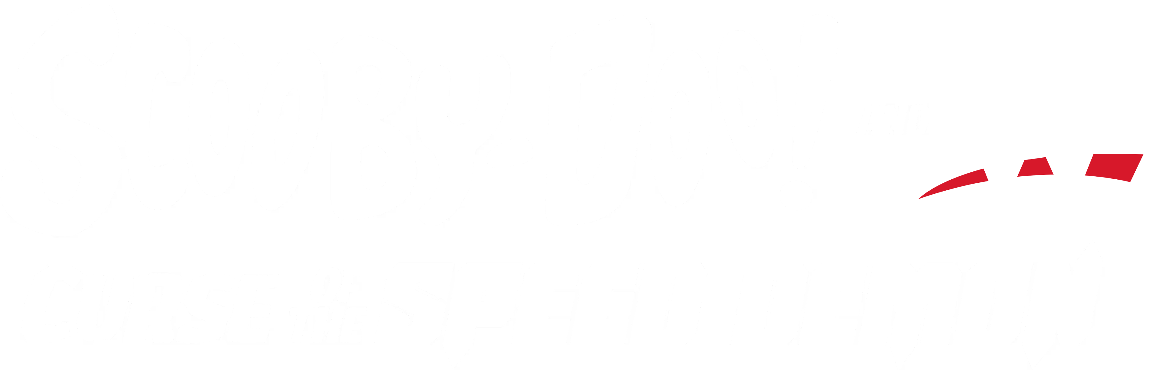 Scooby-Doo! and WWE: Curse of the Speed Demon