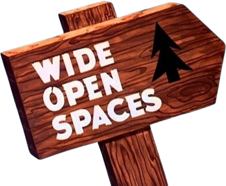 Wide Open Spaces