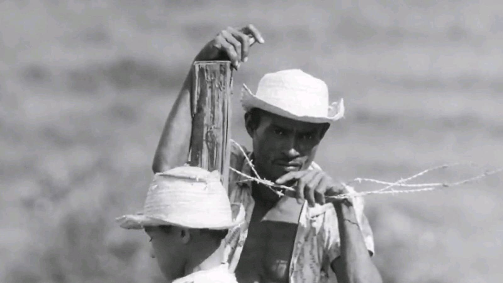 Absolute Majority (1964) wallpaper #3 — 1599×899 HD backdrop — The documentary depicts the everyday of illiterate rural workers in Northeast Brazil,… — free HD background for desktop, MacBook, mobile & iPhone (ref n9BFO9VOe9WzFod61CYV6CsDugf)