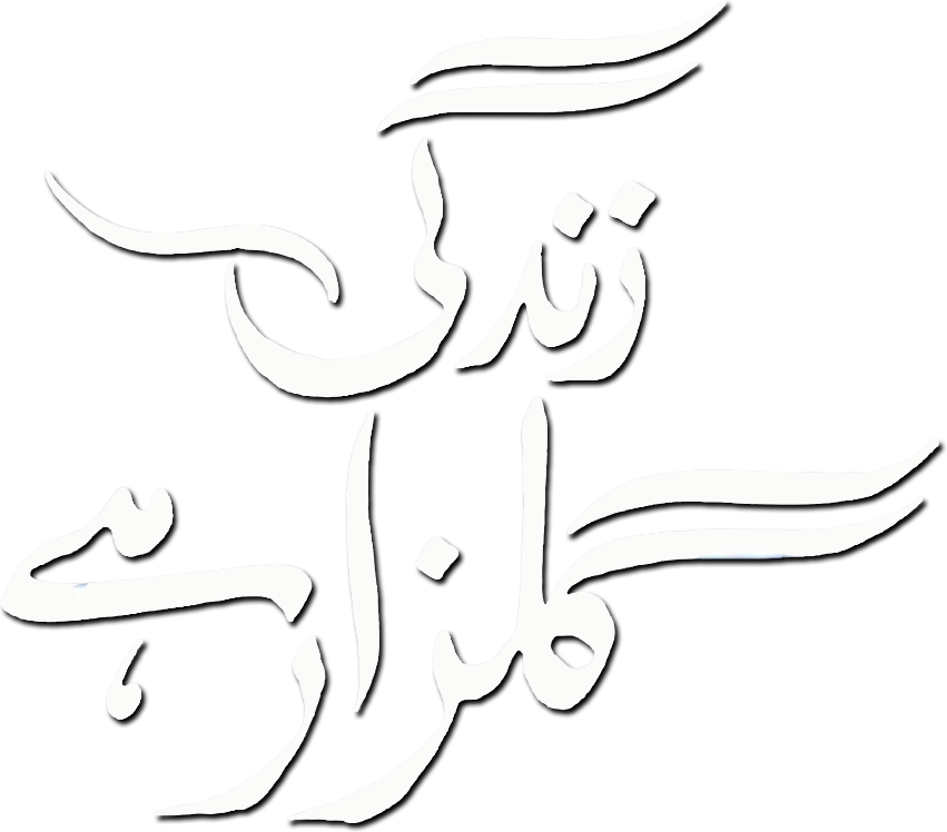 Zindagi Gulzar Hai