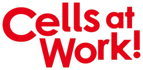 Cells at Work!