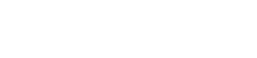 The Millionaire Matchmaker
