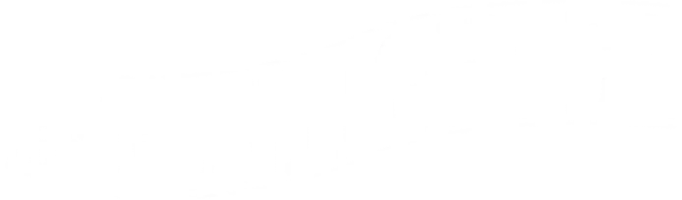 The Gunfighter