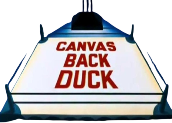 Canvas Back Duck