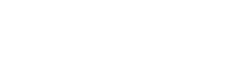 Travis McGee