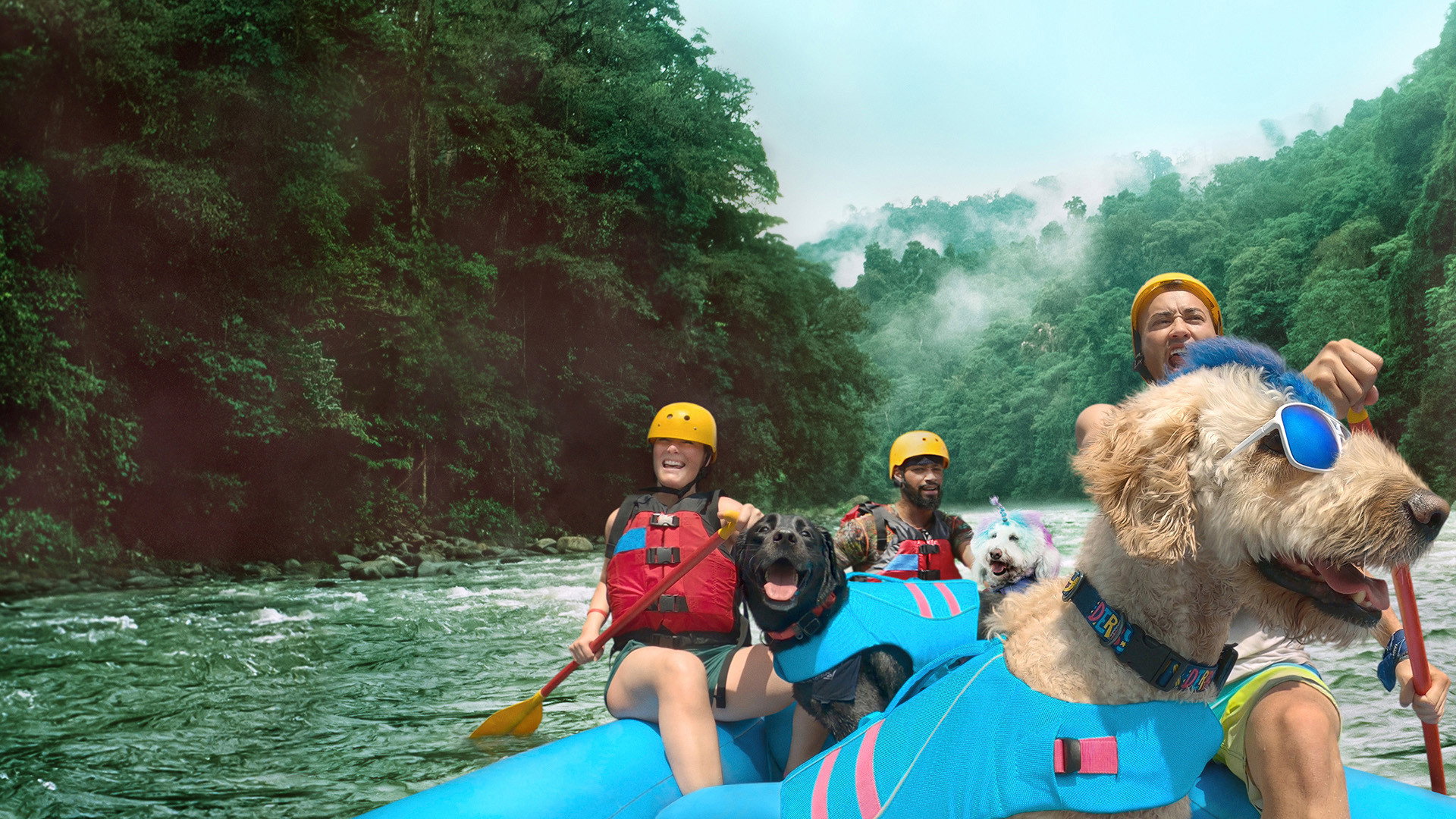The Pack (2020) wallpaper #3 — 1920×1080 Full HD backdrop — In this global adventure, 12 teams of dogs and their human companions compete in fun and… — free HD background for desktop, MacBook, mobile & iPhone (ref yOWgRTWDsCPBrxrnldutLJKM71W)