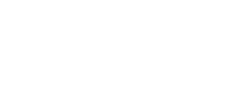 Cirque du Soleil: Toruk - The First Flight