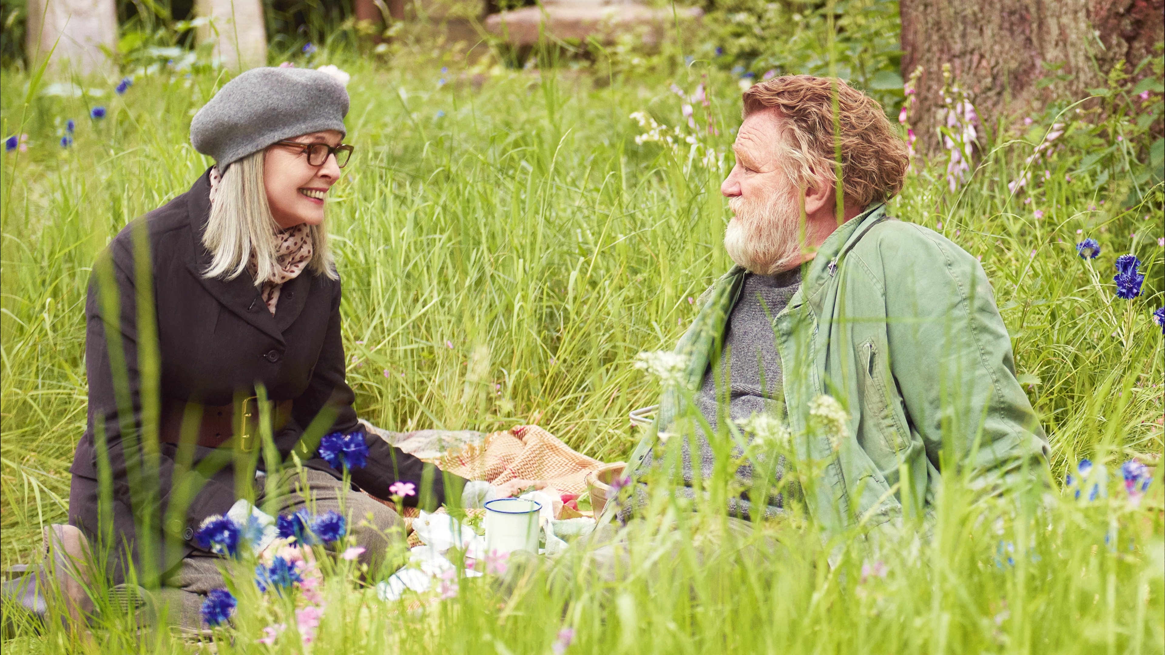 Hampstead (2017) wallpaper #1 — 3840×2160 4K UHD backdrop — Emily Walters is an American widow living a peaceful, uneventful existence in the idyllic… — free HD background for desktop, MacBook, mobile & iPhone (ref zZLvILFQO2RrW0JsMDOonFS0gl4)