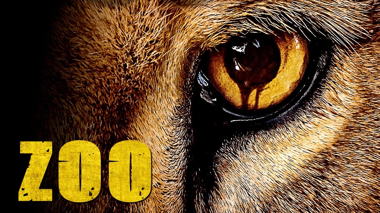 Zoo wallpaper 9 — 1920×1080 cinematic backdrop