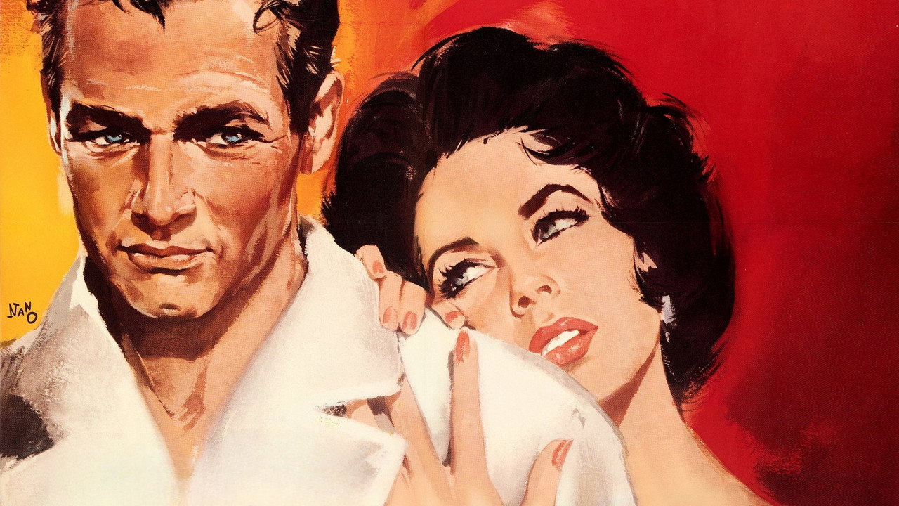 Cat on a Hot Tin Roof wallpaper 11 — 1920×1080 cinematic backdrop