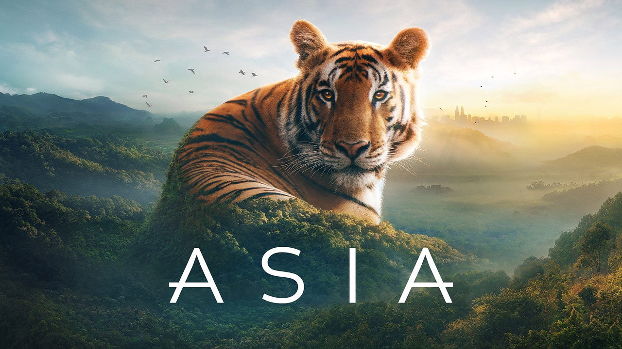 Asia wallpaper 6 — 1920×1080 cinematic backdrop