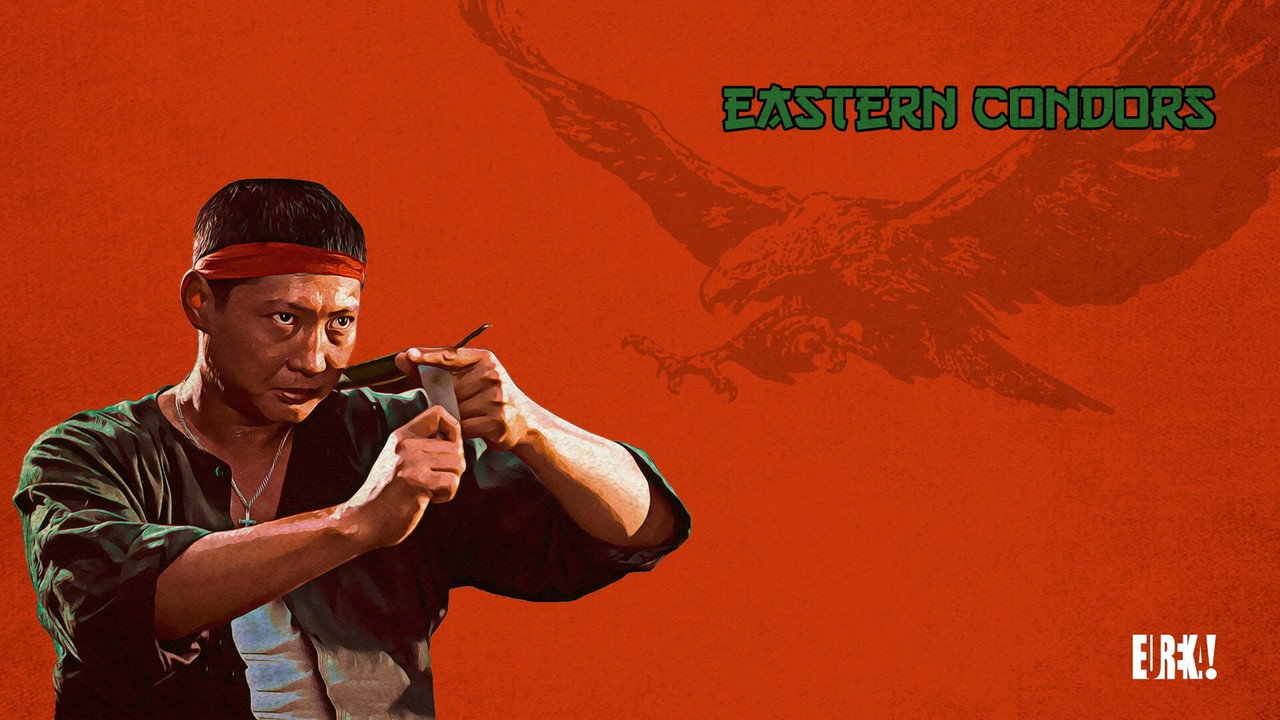 Eastern Condors wallpaper 6 — 1920×1080 cinematic backdrop