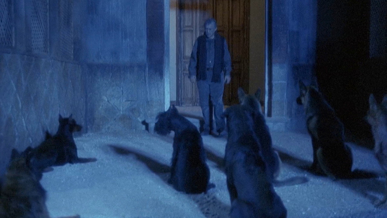 Monster Dog (1988) wallpaper #14 — 1280×720 HD backdrop — Victor Raven, a famous rock star, returns to his childhood home to shoot a music video.… — free HD background for desktop, MacBook, mobile & iPhone (ref 6GL9pqTbrKIrDbvbquv1tsWH1ll)