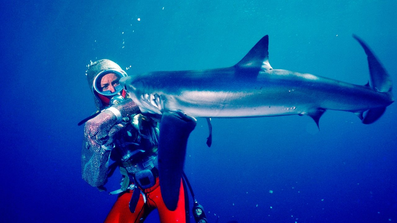 Playing with Sharks (2021) wallpaper #8 — 1677×943 HD backdrop — Valerie Taylor is a shark fanatic and an Australian icon – a marine maverick who forged… — free HD background for desktop, MacBook, mobile & iPhone (ref 7jazbhWygLE7RuNCcbHXGNGwO2)