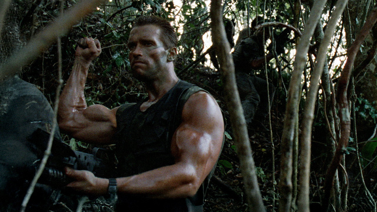 Predator wallpaper 13 — 4K cinematic backdrop