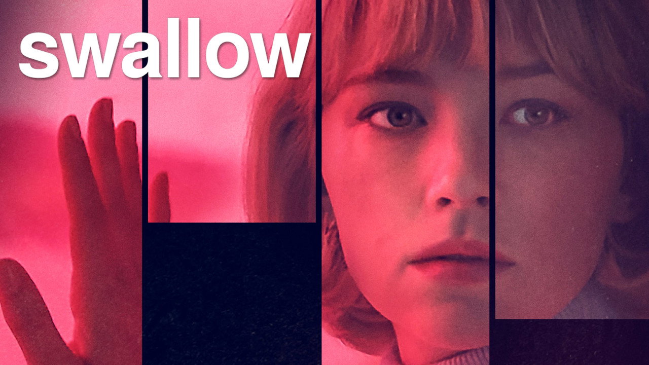 Swallow wallpaper 17 — 1280×720 cinematic backdrop