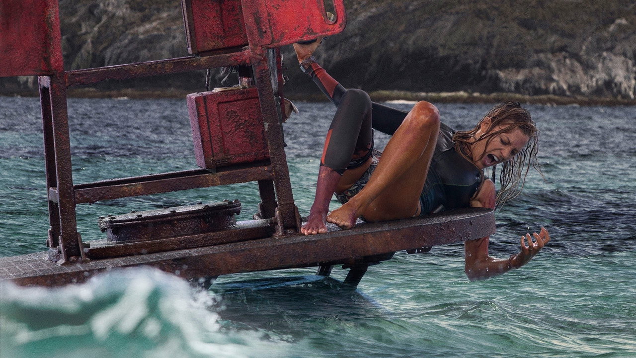 The Shallows (2016) wallpaper #18 — 2560×1440 Full HD backdrop — While surfing on a secluded beach, Nancy finds herself in the feeding grounds of a great… — free HD background for desktop, MacBook, mobile & iPhone (ref JRzH0QVKgJOFAvgzmkmuvO2aeZ)