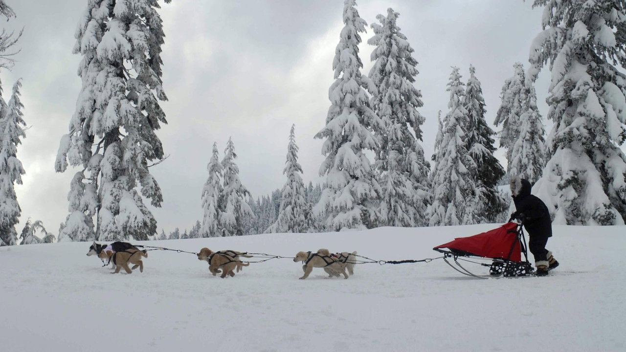 Snow Buddies wallpaper 16 — 1920×1080 cinematic backdrop