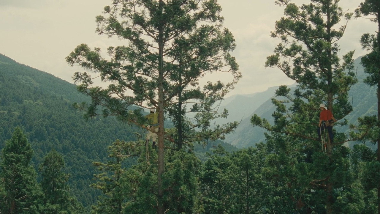 Wood Job! wallpaper 8 — 1842×1036 cinematic backdrop
