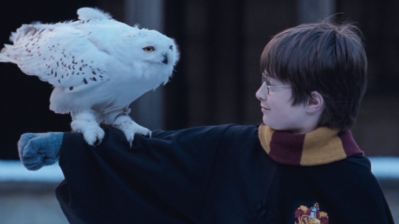 Harry Potter and the Philosopher's Stone wallpaper 13 — 4K cinematic backdrop