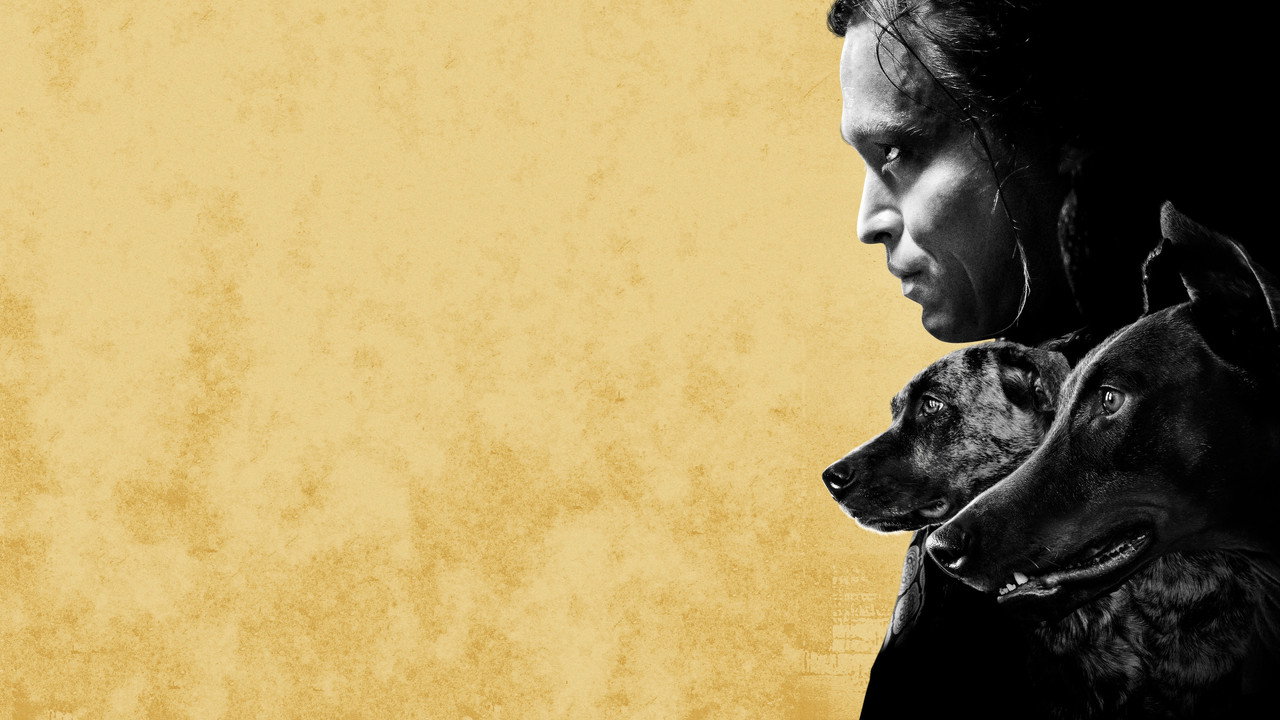 Dogman (2023) wallpaper #6 — 3840×2160 4K UHD backdrop — A boy, bruised by life, finds his salvation through the love of his dogs. — free HD background for desktop, MacBook, mobile & iPhone (ref fBP5D51LPQCTAvl6KFJr0N0P2RO)