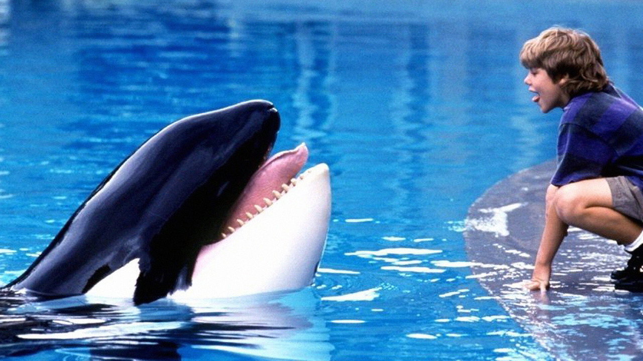 Free Willy wallpaper 9 — 1920×1080 cinematic backdrop