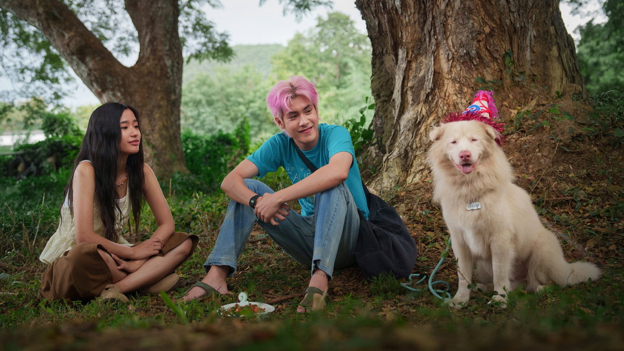 Gohan (2026) wallpaper #5 — 3000×1688 Full HD backdrop — The bonds between humans and animals following a stray dog named Gohan as it moves… — free HD background for desktop, MacBook, mobile & iPhone (ref j0CLPybZOY1Kyz9jonTPYShjroF)