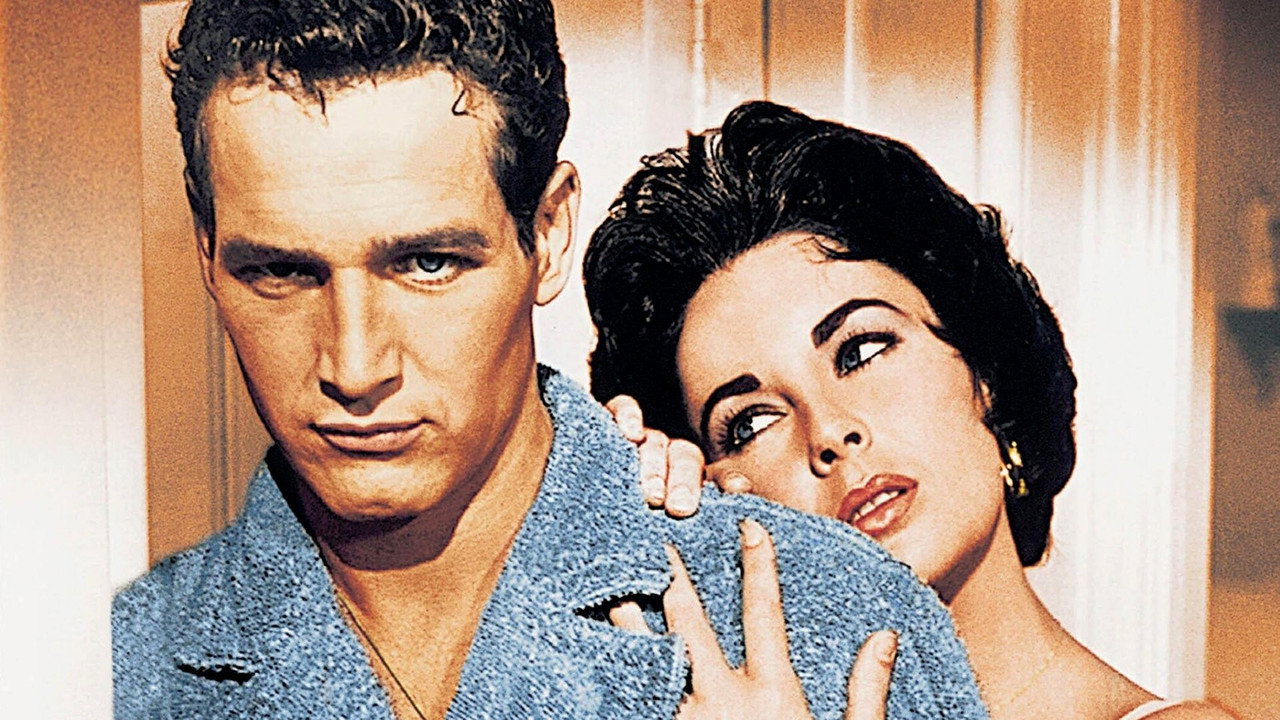 Cat on a Hot Tin Roof wallpaper 15 — 1920×1080 cinematic backdrop