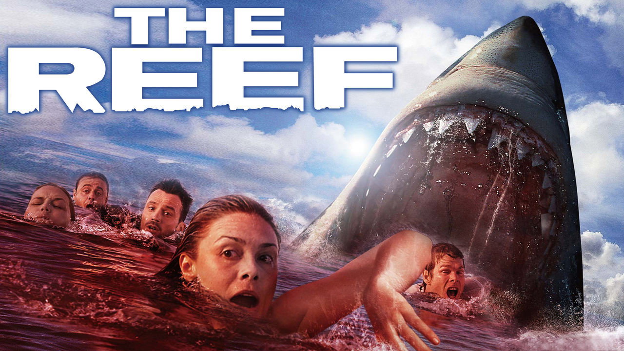 The Reef (2010) wallpaper #12 — 1280×720 HD backdrop — A great white shark hunts the crew of a capsized sailboat along the Great Barrier Reef. — free HD background for desktop, MacBook, mobile & iPhone (ref jgnmJ7O2UdYbB40GxBKpkiGhDAY)
