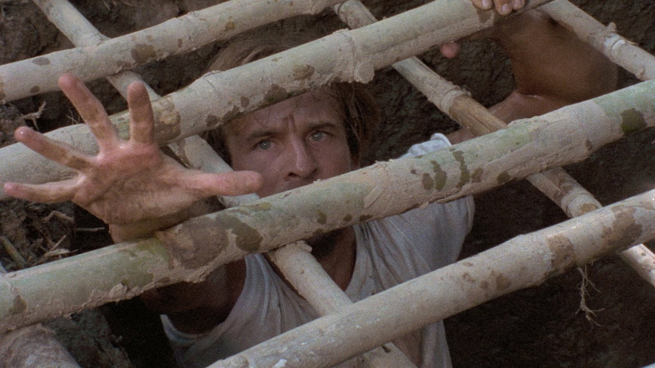 Cannibal Ferox (1981) wallpaper #5 — 1920×1080 Full HD backdrop — Three friends out to disprove cannibalism meet two men on the run who tortured and… — free HD background for desktop, MacBook, mobile & iPhone (ref loqAAIvoId1xjFTL7rD9W8O2CgL)