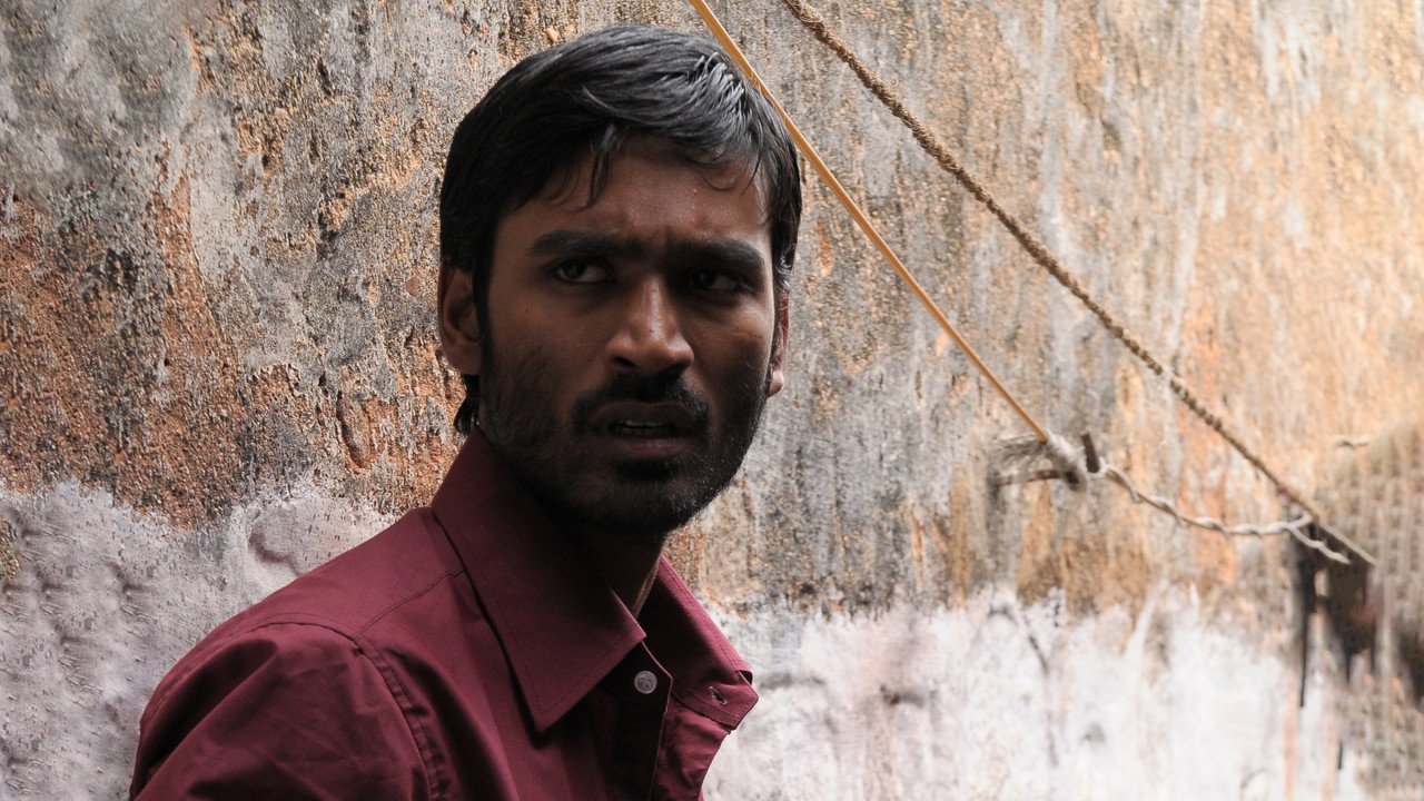 Aadukalam wallpaper 16 — 3340×1879 cinematic backdrop