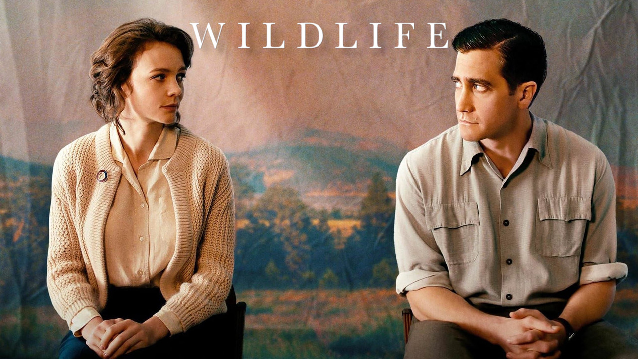 Wildlife wallpaper 5 — 2048×1152 cinematic backdrop