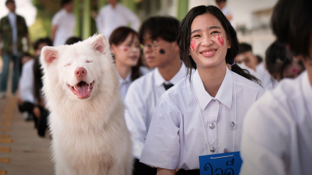 Gohan (2026) wallpaper #7 — 3000×1688 Full HD backdrop — The bonds between humans and animals following a stray dog named Gohan as it moves… — free HD background for desktop, MacBook, mobile & iPhone (ref o7rJZ7dW2UlG76vLVP3eyRev7oq)