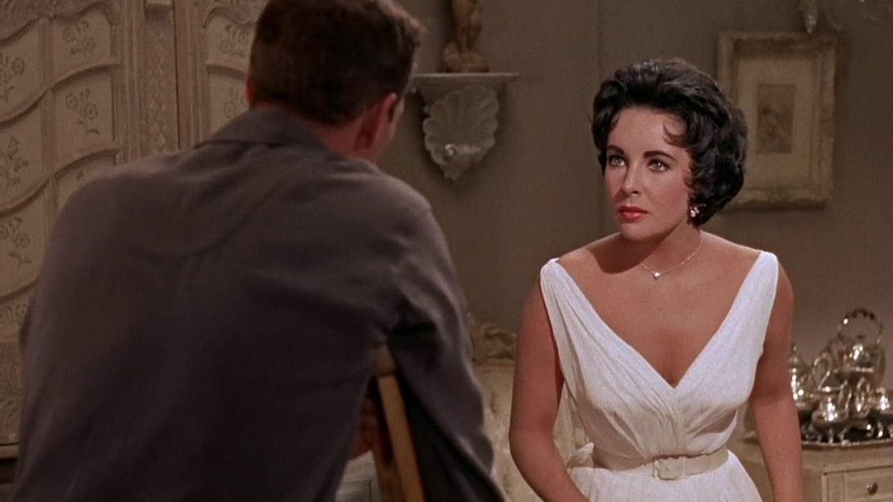 Cat on a Hot Tin Roof wallpaper 4 — 2048×1152 cinematic backdrop