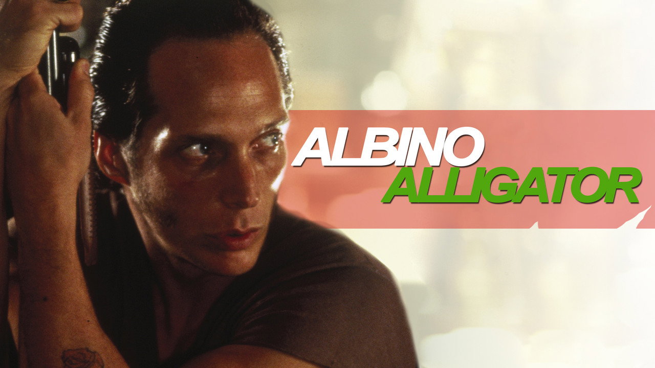 Albino Alligator wallpaper 5 — 1920×1080 cinematic backdrop